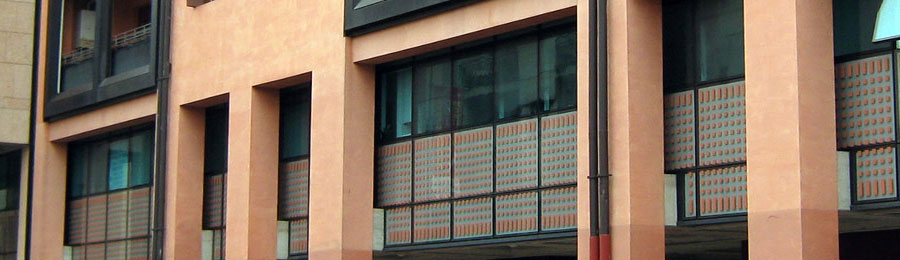 revisore legale conegliano